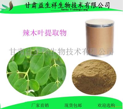 辣木葉提取物 辣木葉黃酮