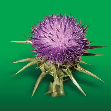 億帆醫(yī)藥股份 關于控股子公司在研產(chǎn)品獲fda批準上市的公告