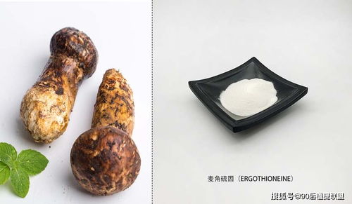 2020 最新植物提取物 化妝品原料 前沿?zé)狳c(diǎn)點(diǎn)評