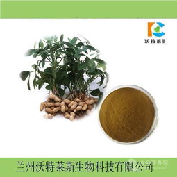 花生粉 花生提取物 批發(fā)價格價格,產(chǎn)品報價