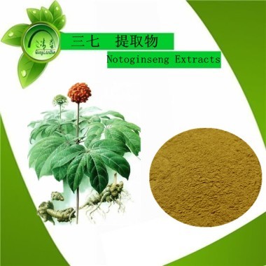 三七提取物、提取物、植物提取物