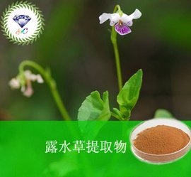 露水草提取物