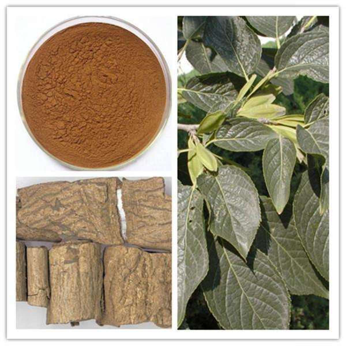 綠色養殖杜仲提取物綠原酸讓你告別抗生素時代