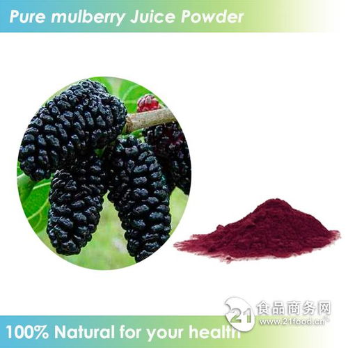 天然速溶飲料桑葚粉批發(fā)價格 西安 旭煌生物 植物提取物